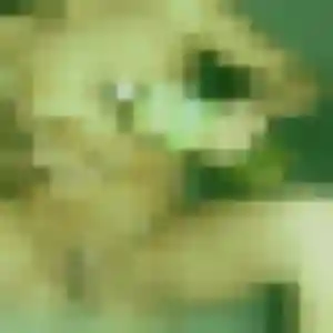 Bousso (25 ans) à Stenay cherche un rencontre adulte rapidement