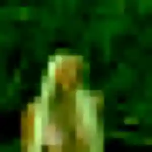 Maéva (19 ans) à Stenay propose un rencontre adulte rapidement