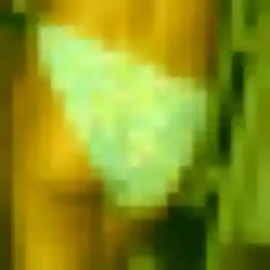 Découvre Ornella, 37 ans à Stenay en t'inscrivant