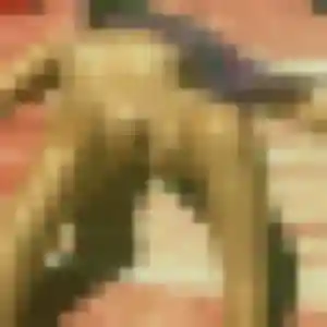 Rencontre Mame, 43 ans à Strazeele en t'inscrivant