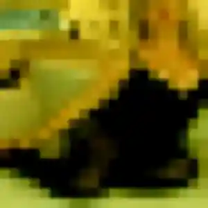 Photo exclusive de Maéva, 26 ans à Subles - rencontre sans lendemain