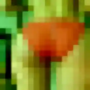 Profil de Bukola à Sumène (31 ans) - rencontre adulte gratuit