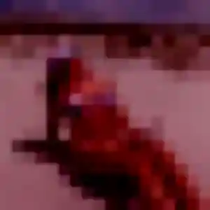 Photo perso de Codou, 36 ans à Surin - plan discret