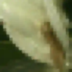 Amani (22 ans) à Surzur attend une rencontre ce soir