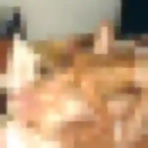 Célestine, femme de 43 ans veut rencontre adulte à Tagolsheim