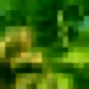 rencontre adulte à Taissy : photo de Sixtine, 45 ans - sans engagement