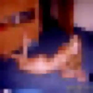 Fanny, fille de 19 ans cherche rencontre adulte à Tamerville