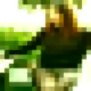 Charmante Gnima, 44 ans à Tamerville - la contacter