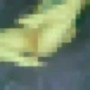 Jolie Deborah, 44 ans à Tarabel - la contacter