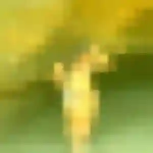 Profil de Lina à Tarare (32 ans) - rencontre adulte discret