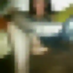Photo perso de Madeleine, 40 ans à Taverny - rencontre coquine
