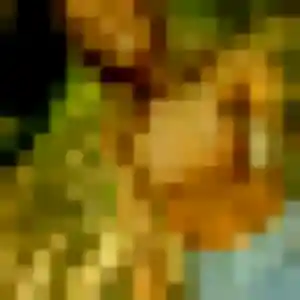 Madeleine, 44 ans, disponible à Têche pour une rencontre coquine