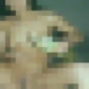 Profil de Eugénie à Técou (38 ans) - rencontre adulte gratuit