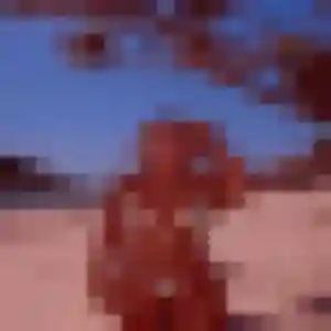 Rencontre Kumba, 38 ans à Tenay gratuitement