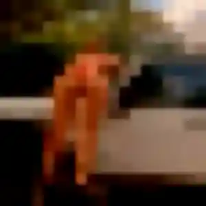 Contacte Oumy, 32 ans à Ternay en t'inscrivant