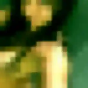 Charmante Véronique, 36 ans à Terranjou - voir sa photo