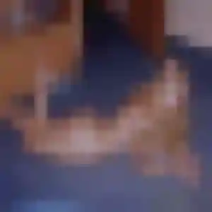 Photo sexy de Stéphanie, 40 ans à Thaon - rencontre coquine