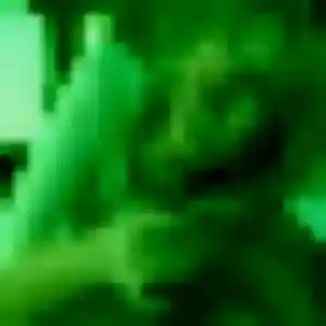 rencontre adulte à Thaon : photo de Yaa, 20 ans - inscription gratuite