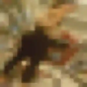 Photo perso de Tanoh, 22 ans à Thélus - rencontre coquine