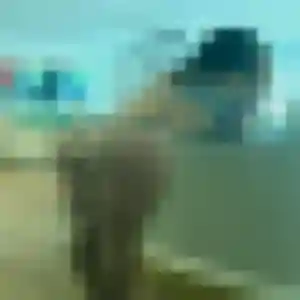 Célestine (34 ans) à Thénezay cherche un rencontre adulte rapidement