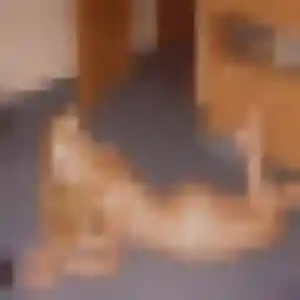 Déborah, fille de 23 ans veut rencontre adulte à Thise