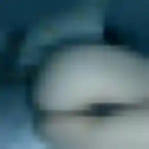 Sexy Prisca, 39 ans à Thiviers - voir sa photo