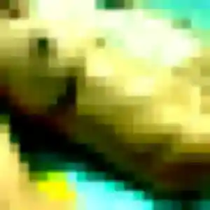 Photo sexy de Adaeze, 45 ans à Tiercé - plan discret