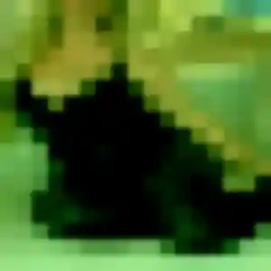 Photo sexy de Aïcha, 24 ans à Tosse - rencontre coquine