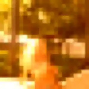 Photo privée de Mélissa, 35 ans à Tossiat - rencontre coquine