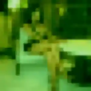 Profil de Promise à Tossiat (35 ans) - rencontre adulte anonyme