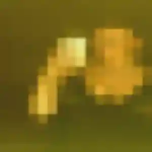 rencontre adulte à Toulon : photo de Hadija, 33 ans - inscription gratuite