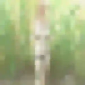 Photo privée de Zoé, 41 ans à Toulouges - plan discret