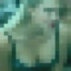 Profil de Antoinette à Touquin (38 ans) - rencontre adulte anonyme