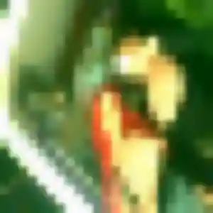 Dado, 21 ans, disponible à Toussaint pour un rencontre adulte