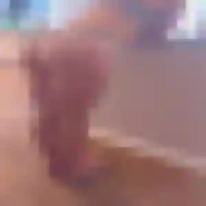 Latifa, 23 ans, disponible à Tracy-le-Val pour une rencontre coquine