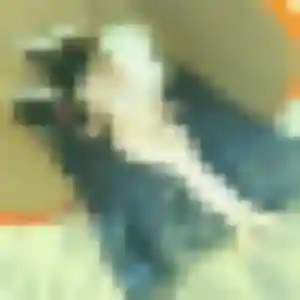 Aissatou (25 ans) à Traenheim cherche une rencontre ce soir
