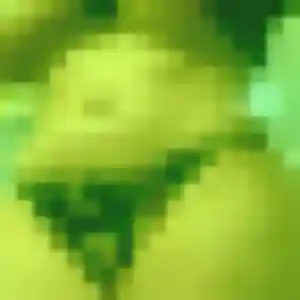 Dorothée, 21 ans, connectée à Traînou pour un rencontre adulte