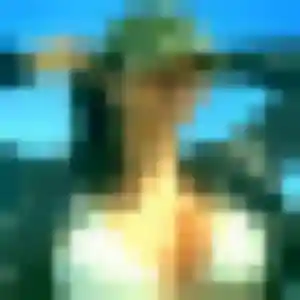 rencontre adulte à Trèbes : photo de Fama, 28 ans - inscription gratuite