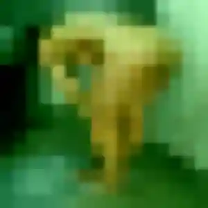 Photo exclusive de Omolara, 45 ans à Trébrivan - rencontre coquine