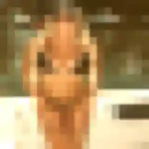 rencontre adulte à Treffendel : profil de Kimberley, 45 ans - accès libre