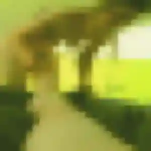 Photo de Precious à Trégarantec (44 ans) - rencontre adulte anonyme