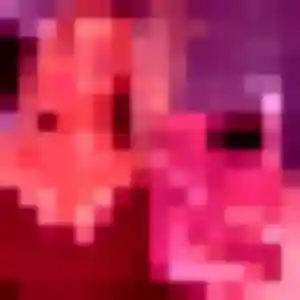 Bukola, 32 ans, disponible à Tréguidel pour une rencontre coquine