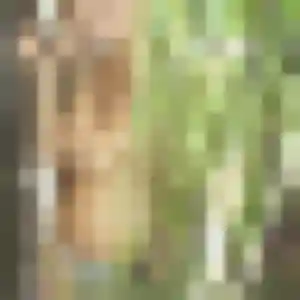 Photo sexy de Sylvie, 38 ans à Trélissac - rencontre sans lendemain