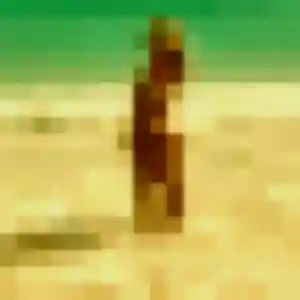 rencontre adulte à Trémuson : profil de Wilda, 29 ans - inscription gratuite