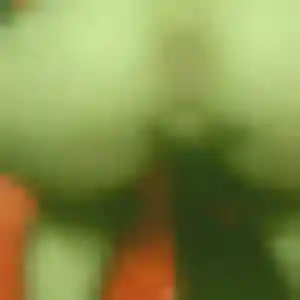 Grâce, 28 ans, connectée à Tréveneuc pour une rencontre coquine