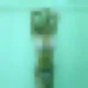 Muthoni, 20 ans, en ligne à Trévol pour un rencontre adulte