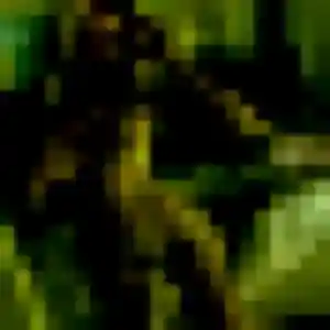 rencontre adulte à Triaize : photo de Fama, 26 ans - sans engagement