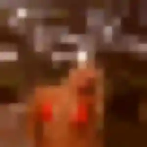 Photo de Bernadette à Troarn (21 ans) - rencontre adulte sans inscription