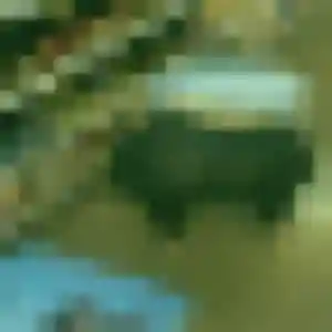 Folake, 32 ans, cherche un rencontre adulte à Troarn