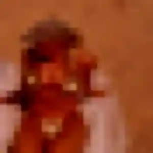 Photo exclusive de Aurore, 39 ans à Tuchan - rencontre sans lendemain